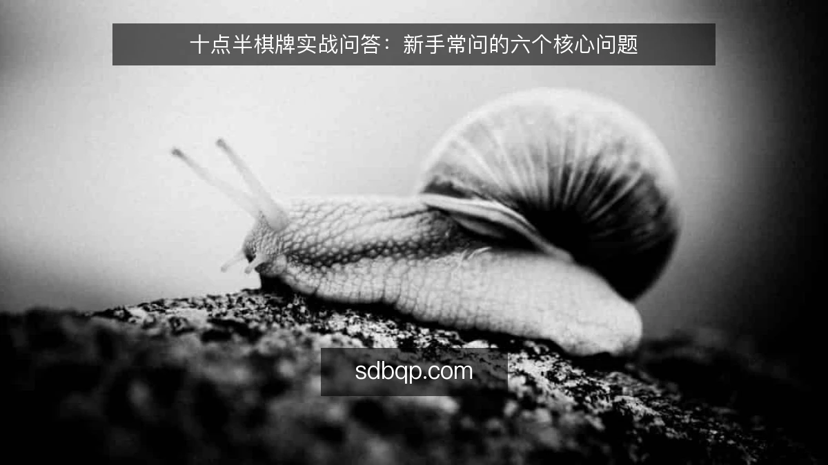 十点半棋牌实战问答：新手常问的六个核心问题