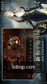 专家策略咨询